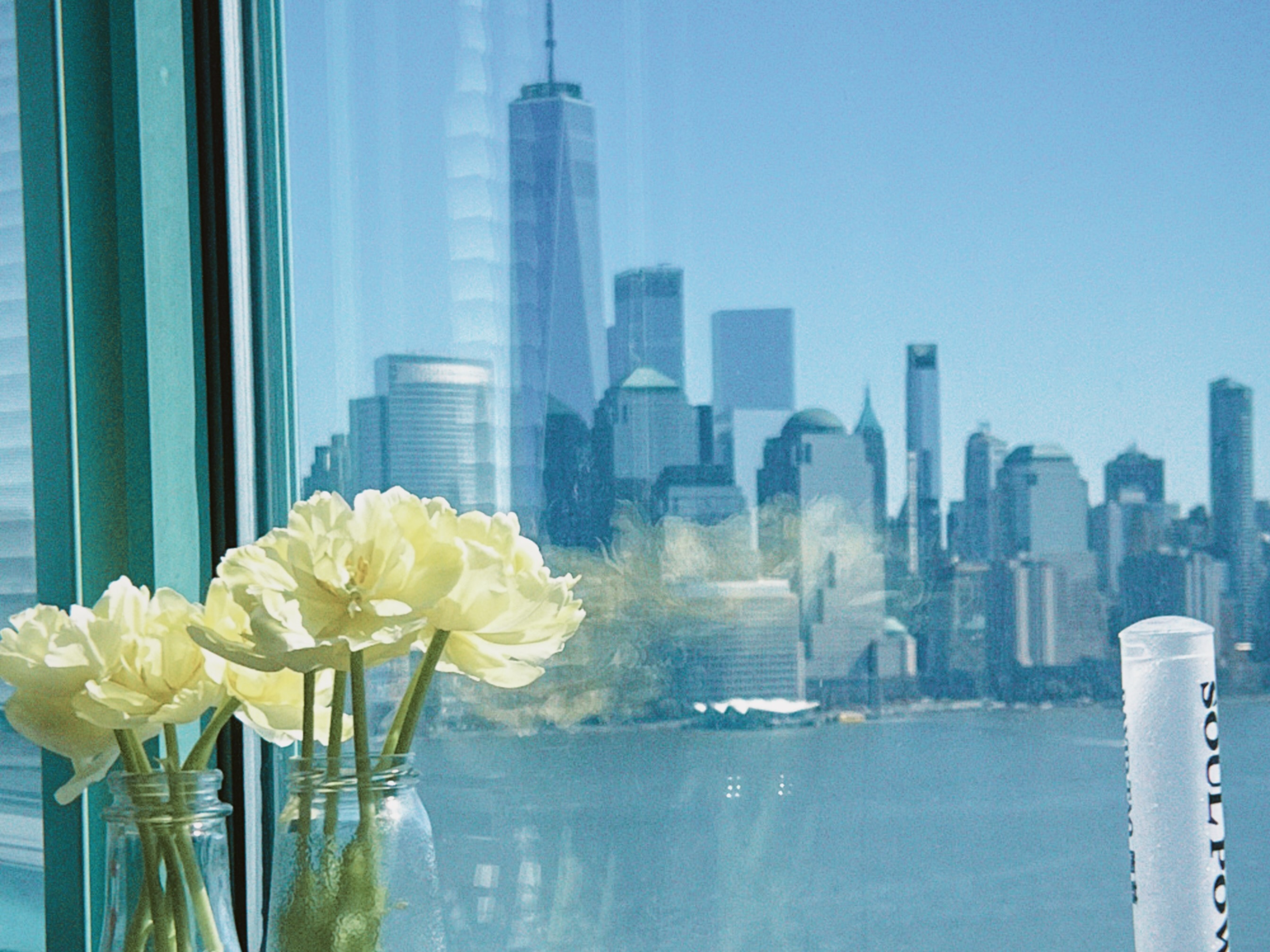 Flowers by a window overlooking the city.